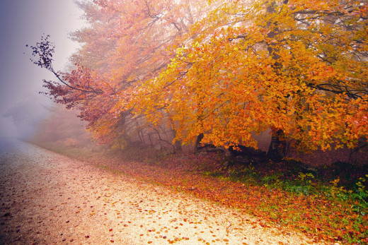 638750 (a): :1920x1280